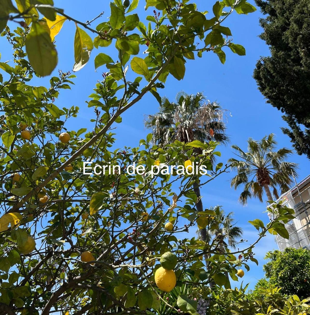 Casa Andrea Appartement Tout A Pied Avec Grand Jardin Sanary-sur-Mer Esterno foto