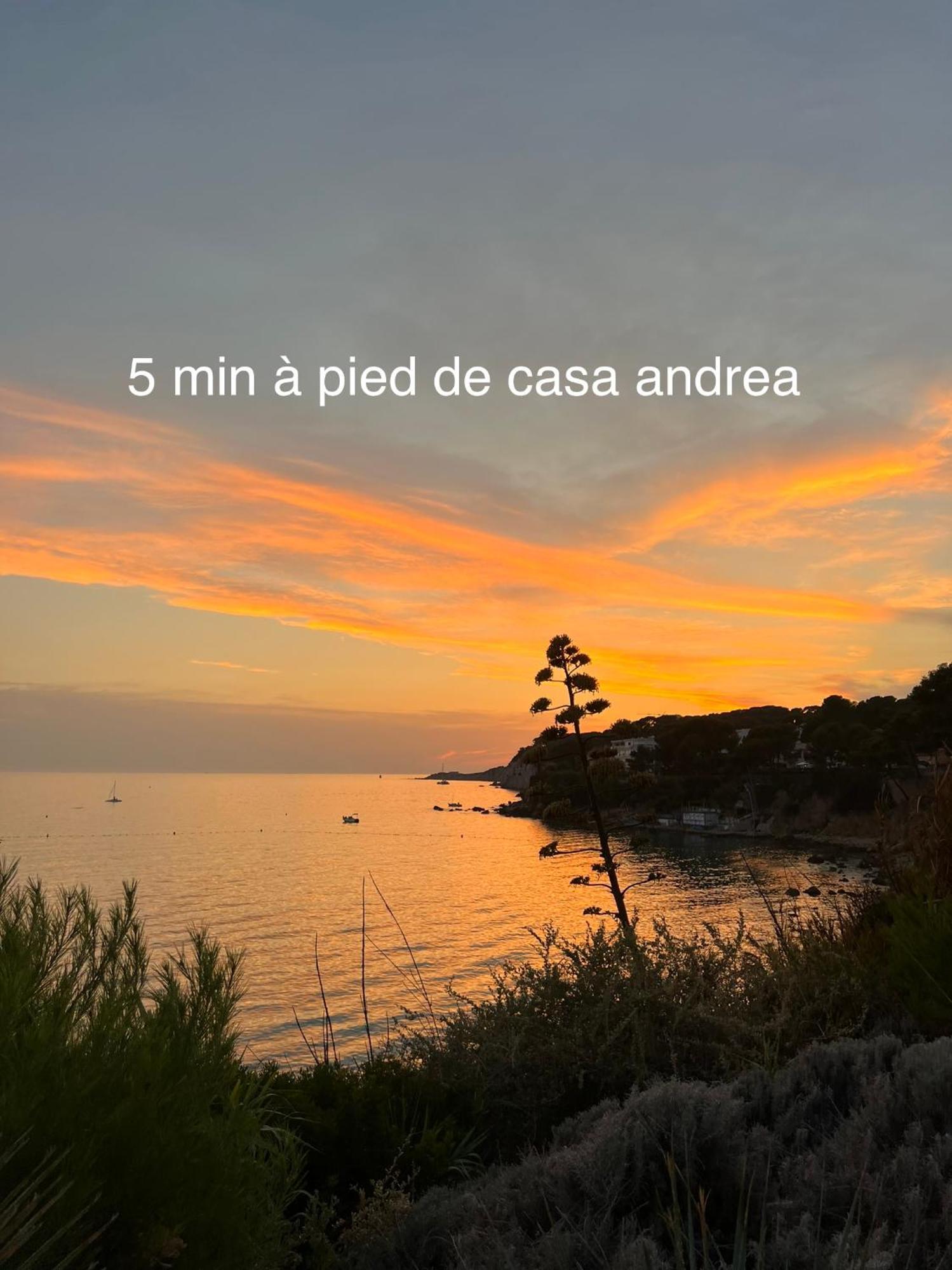 Casa Andrea Appartement Tout A Pied Avec Grand Jardin Sanary-sur-Mer Esterno foto